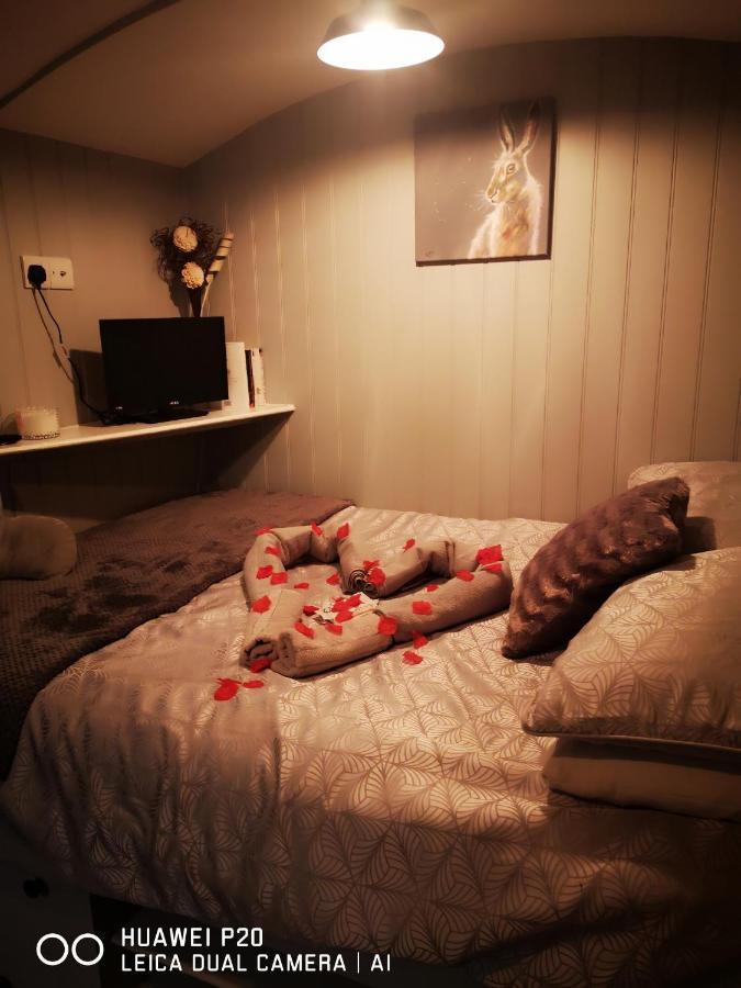 Pen-rhos Luxury Glamping 
