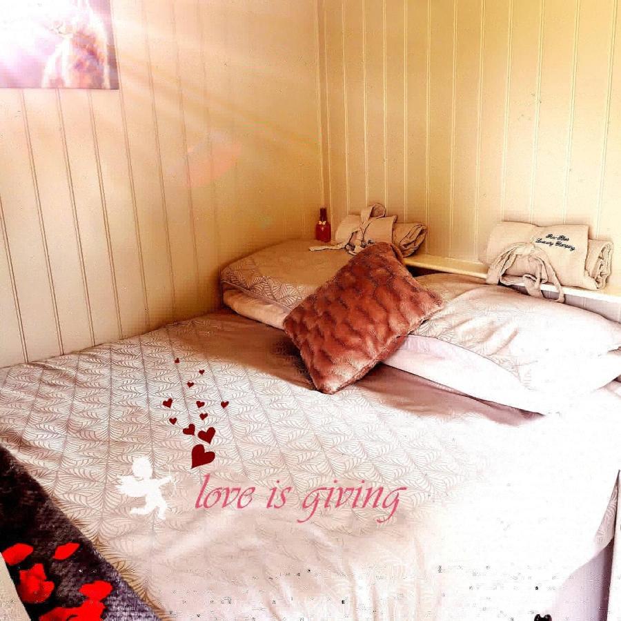 Campsite Pen-rhos Luxury Glamping 