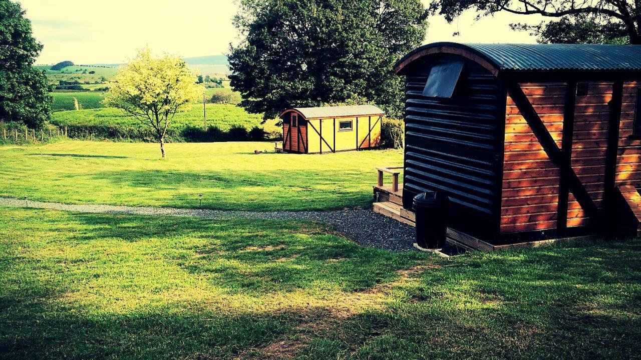 Pen-rhos Luxury Glamping 